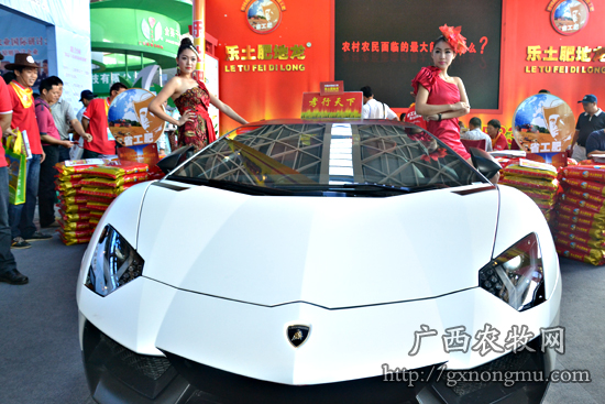 展会上的美女与豪车